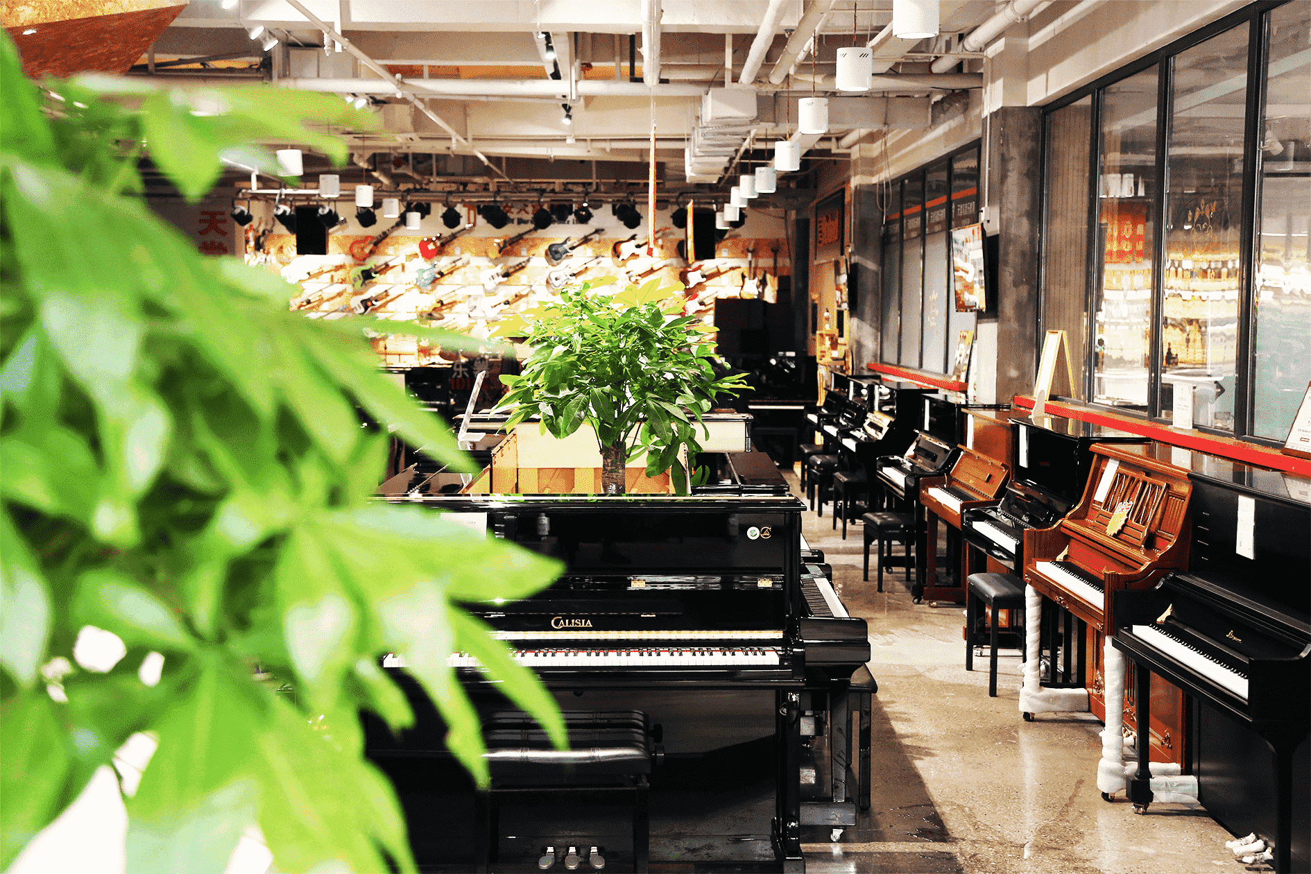 西安钢琴专卖店分享怎么弹奏手腕跳音