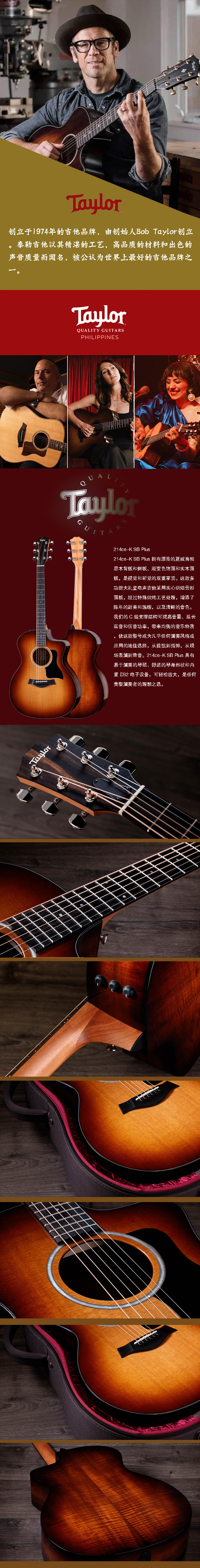 taylor 214ce k sb plus.jpg