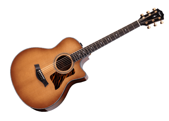 泰勒 I Taylor 50th Anniversary 316ce Baritone-6 LTD